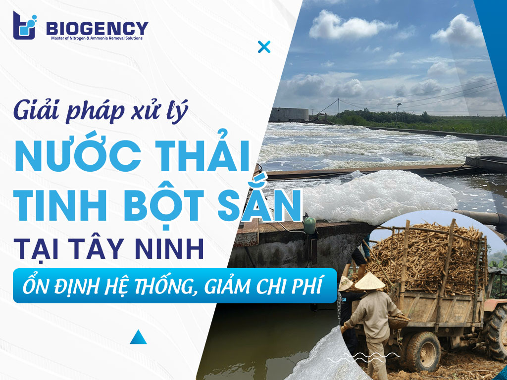 Giải pháp xử lý nước thải tinh bột sắn tại Tây Ninh: Ổn định hệ thống, giảm chi phí Giải pháp xử lý nước thải tinh bột sắn tại Tây Ninh: Ổn định hệ thống, giảm chi phí
