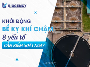 Khởi động bể kỵ khí UASB chậm? 8 yếu tố cần kiểm soát ngay