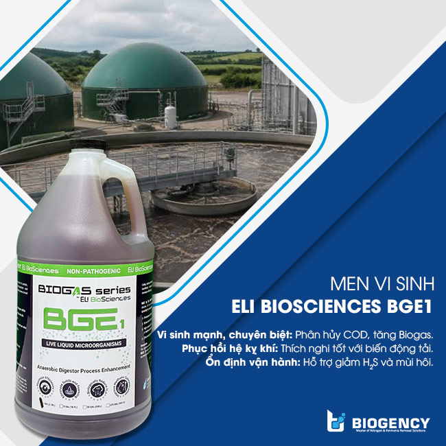 Giải pháp vi sinh ELI Biosciences BGE1 giúp ổn định, tăng hiệu suất bể kỵ khí nhà máy mía đường. Giải pháp vi sinh ELI Biosciences BGE1 giúp ổn định, tăng hiệu suất bể kỵ khí nhà máy mía đường.
