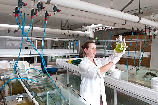 Ecological Laboratories Inc. (Hoa Kỳ) - Nơi nghiên cứu và phát triển dòng men vi sinh Microbe-Lift. Ecological Laboratories Inc. (Hoa Kỳ) - Nơi nghiên cứu và phát triển dòng men vi sinh Microbe-Lift.Ecological Laboratories Inc. (Hoa Kỳ) - Nơi nghiên cứu và phát triển dòng men vi sinh Microbe-Lift.