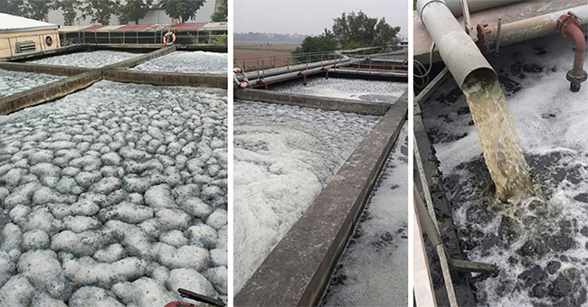 Ứng dụng giải pháp vi sinh xử lý nước thải mía đường trong trường hợp hệ thống bị sự cố hoặc sốc tải. Ứng dụng giải pháp vi sinh xử lý nước thải mía đường trong trường hợp hệ thống bị sự cố hoặc sốc tải.