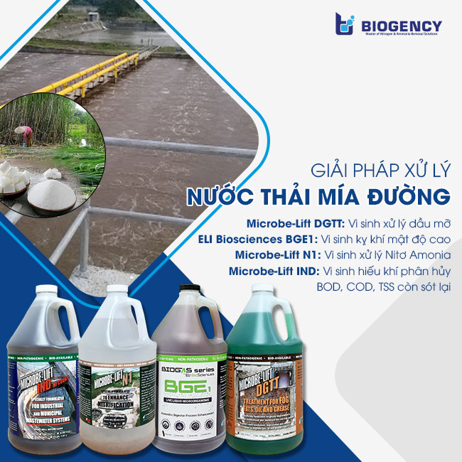 Bộ sản phẩm áp dụng trong giải pháp xử lý nước thải mía đường BIOGENCY. Bộ sản phẩm áp dụng trong giải pháp xử lý nước thải mía đường BIOGENCY.