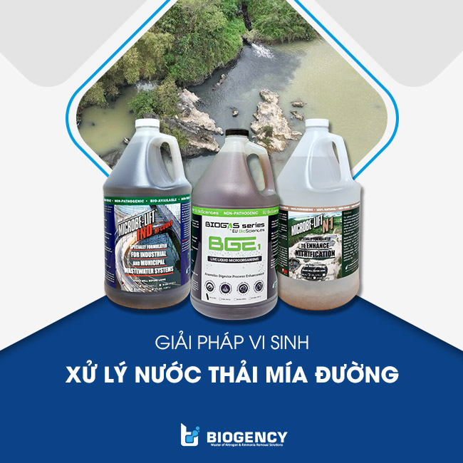 Giải pháp vi sinh xử lý nước thải mía đường từ BIOGENCY. Giải pháp vi sinh xử lý nước thải mía đường từ BIOGENCY.