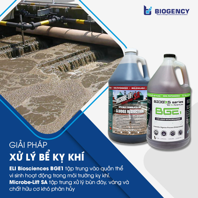 Giải pháp xử lý bể kỵ khí từ BIOGENCY. Giải pháp xử lý bể kỵ khí từ BIOGENCY.