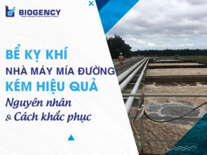 Bể kỵ khí nhà máy mía đường kém hiệu quả: Dấu hiệu, nguyên nhân và giải pháp