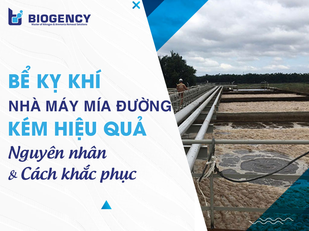 Bể kỵ khí nhà máy mía đường kém hiệu quả: Dấu hiệu, nguyên nhân và giải pháp