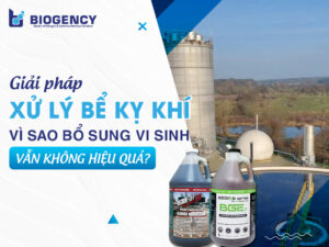 Giải pháp xử lý bể kỵ khí: Vì sao bổ sung men vi sinh vẫn không hiệu quả?