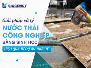 Giải pháp xử lý nước thải công nghiệp bằng sinh học: Hiệu quả từ 2 dự án thực tế