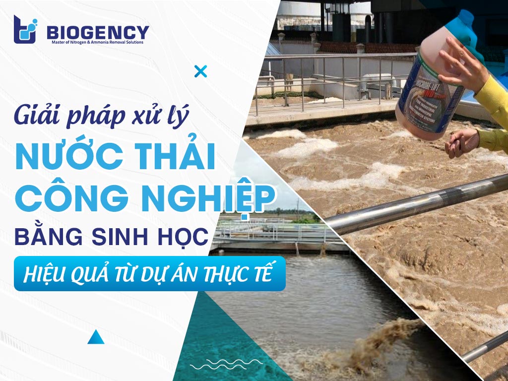 Giải pháp xử lý nước thải công nghiệp bằng sinh học: Hiệu quả từ 2 dự án thực tế