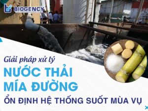 [BIOGENCY] Giải pháp xử lý nước thải mía đường: Ổn định hệ thống suốt mùa vụ