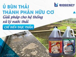 Ủ bùn thải thành phân hữu cơ: Giải pháp cho hệ thống xử lý nước thải chế biến thực phẩm