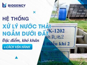 Hệ thống xử lý nước thải ngầm dưới đất: Đặc điểm, khó khăn và cách vận hành