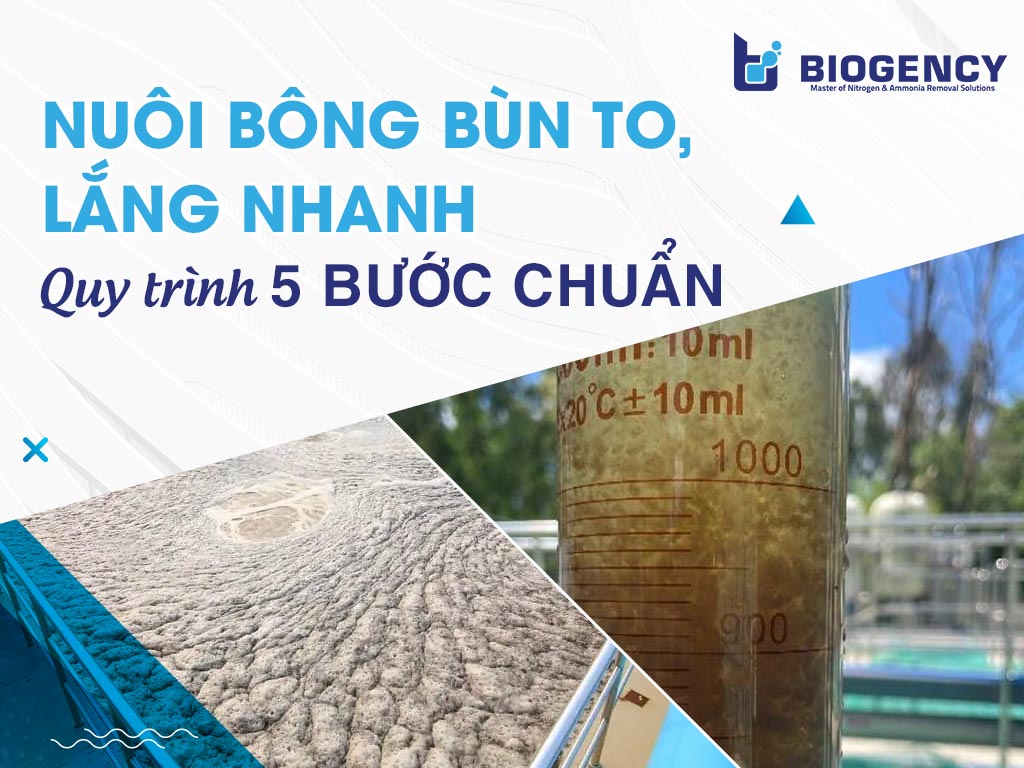 Hướng dẫn nuôi bông bùn to, lắng nhanh giúp khởi động hệ thống ổn định, hạn chế sự cố, tiết kiệm chi phí lâu dài