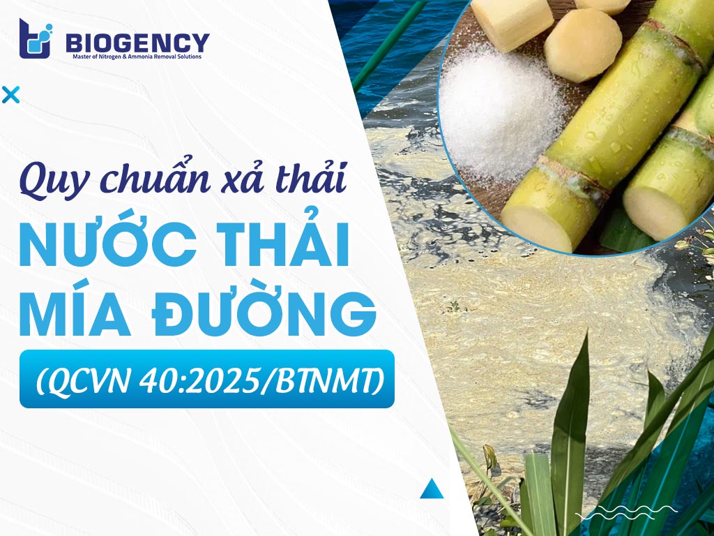 Quy chuẩn xả thải nước thải mía đường (QCVN 40:2025/BTNMT)