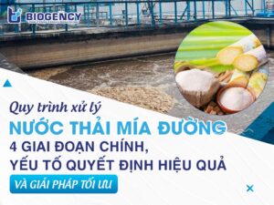 Quy trình xử lý nước thải mía đường: 4 giai đoạn chính, yếu tố quyết định hiệu quả và giải pháp tối ưu