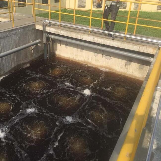 Xây dựng và ổn định bùn để hệ thống xử lý nước thải ổn định.