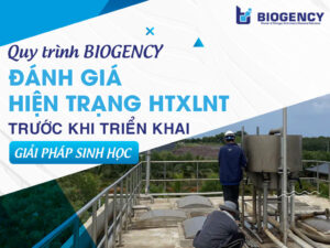 Quy trình BIOGENCY đánh giá hiện trạng hệ thống xử lý nước thải trước khi triển khai giải pháp sinh học