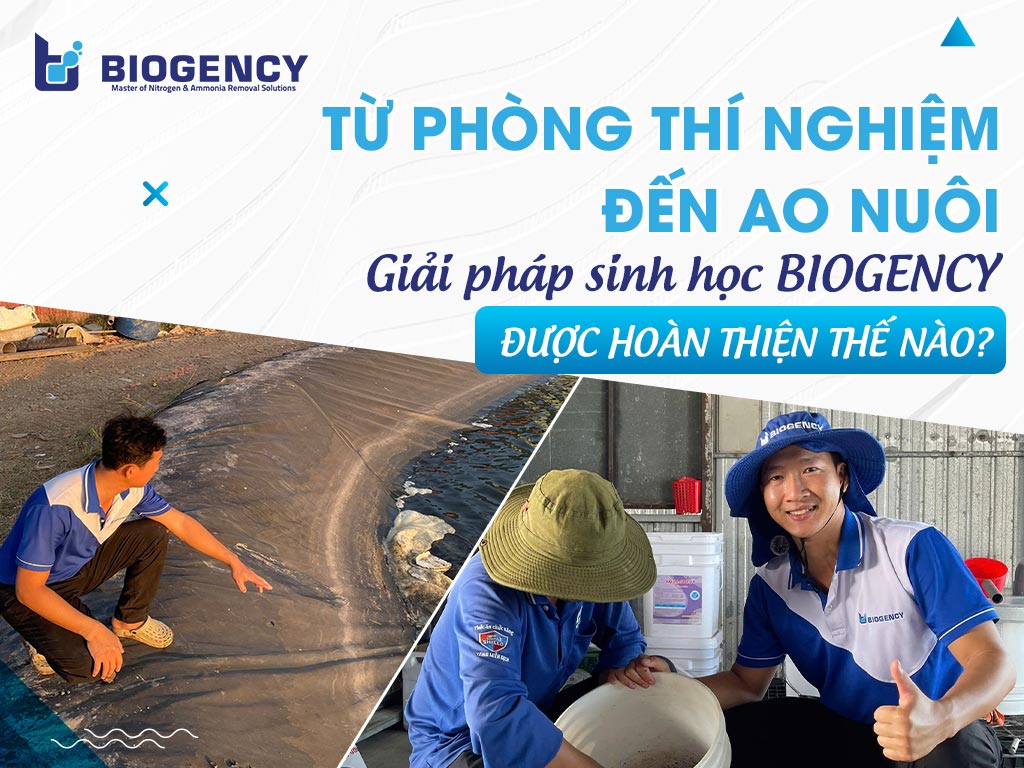 Từ phòng thí nghiệm đến ao nuôi: Giải pháp sinh học BIOGENCY được hoàn thiện thế nào? Từ phòng thí nghiệm đến ao nuôi: Giải pháp sinh học BIOGENCY được hoàn thiện thế nào?