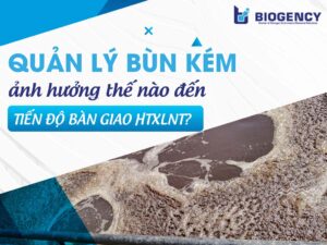 Quản lý bùn kém ảnh hưởng thế nào đến tiến độ bàn giao HTXLNT?