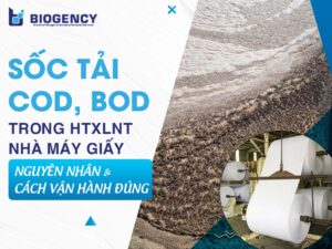Sốc tải COD, BOD trong HTXLNT nhà máy giấy: Nguyên nhân và cách vận hành đúng
