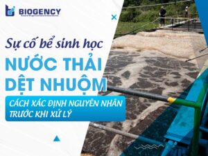 Sự cố bể sinh học nước thải dệt nhuộm: Cách xác định nguyên nhân trước khi xử lý