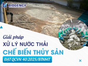 Giải pháp xử lý nước thải chế biến thủy sản theo QCVN 40:2025/BTNMT