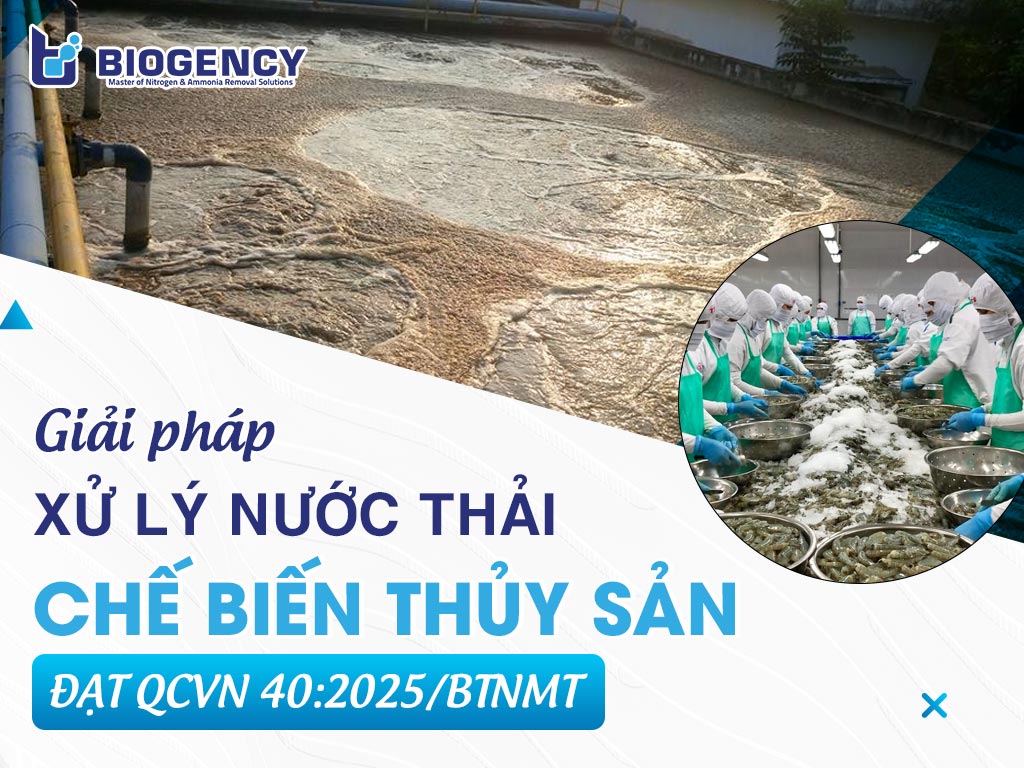 Giải pháp xử lý nước thải chế biến thủy sản theo QCVN 40:2025/BTNMT