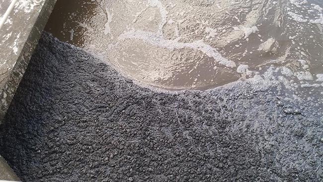 Bùn bể Anoxic bị già, vô cơ hóa. Bùn bể Anoxic bị già, vô cơ hóa.