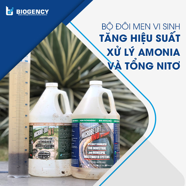 Bộ đôi men vi sinh Microbe-Lift N1 và Microbe-Lift IND dùng trong xử lý Nito Amonia. Bộ đôi men vi sinh Microbe-Lift N1 và Microbe-Lift IND dùng trong xử lý Nito Amonia.