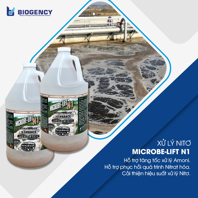 Men vi sinh Microbe-Lift IND xử lý COD, BOD nước thải ngành giấy Men vi sinh Microbe-Lift IND xử lý COD, BOD nước thải ngành giấy