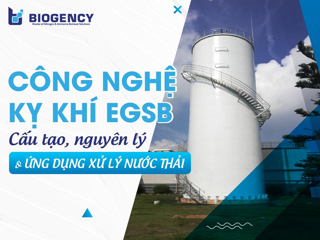 Công nghệ kỵ khí EGSB là gì? Cấu tạo, nguyên lý hoạt động và ứng dụng trong xử lý nước thải