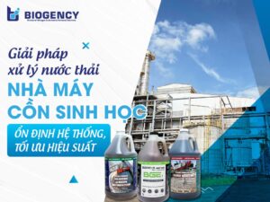 [BIOGENCY] Giải pháp xử lý nước thải nhà máy cồn sinh học: Ổn định hệ thống, tối ưu hiệu suất