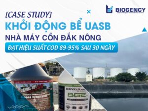 [CASE STUDY] Khởi động bể UASB nhà máy cồn Đắk Nông: Đạt hiệu suất COD 89-95% sau 30 ngày