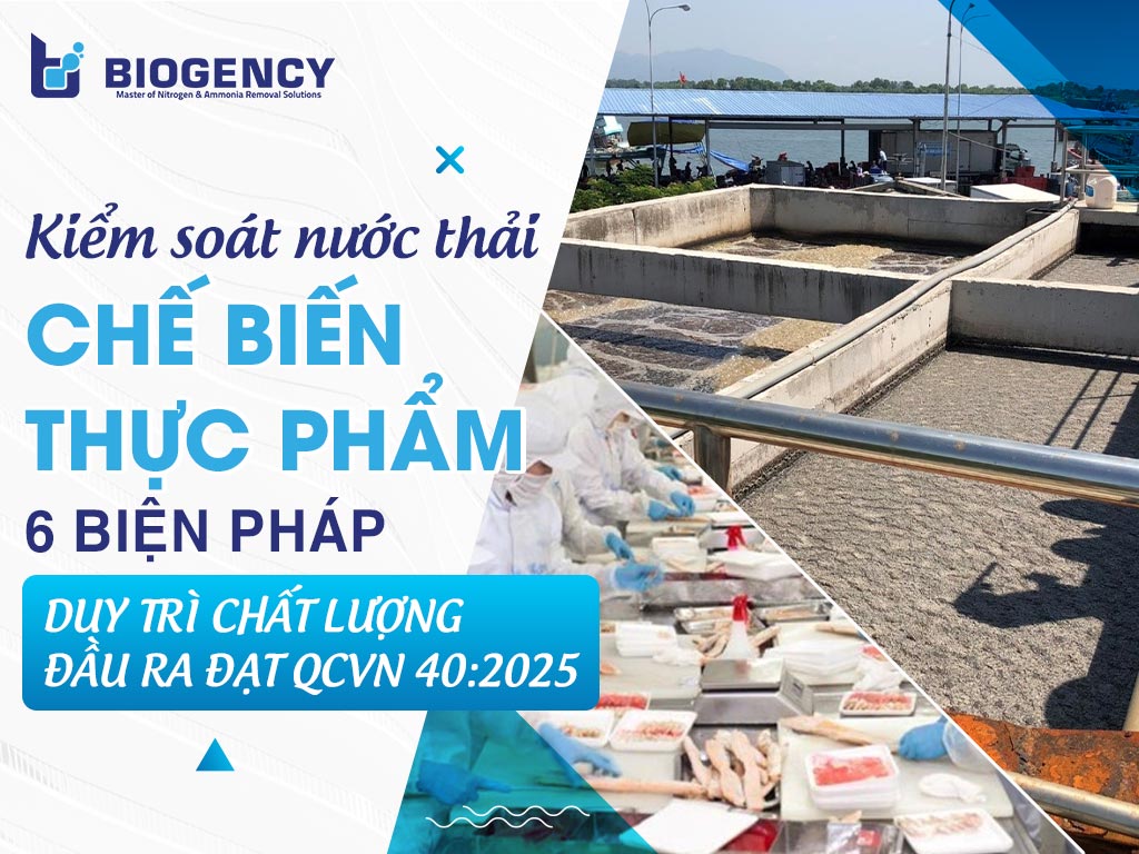 Kiểm soát nước thải chế biến thực phẩm: 6 biện pháp duy trì chất lượng đầu ra đạt QCVN 40:2025