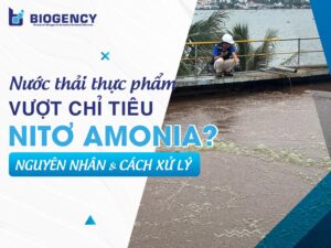 Vì sao nước thải thực phẩm thường vượt chỉ tiêu Nitơ Amonia? Cách xử lý bền vững