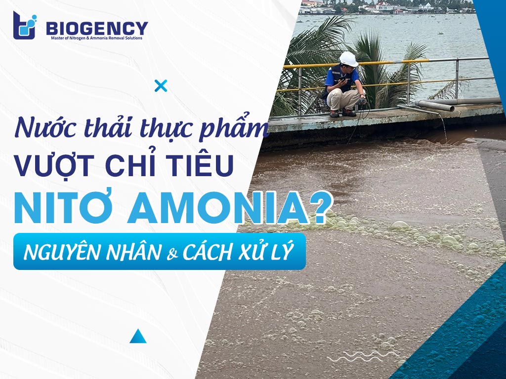 Vì sao nước thải thực phẩm thường vượt chỉ tiêu Nitơ Amonia? Cách xử lý bền vững