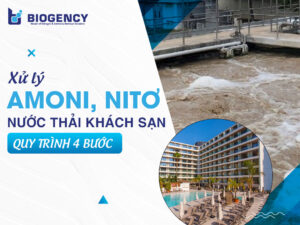 Xử lý Amoni, Nitơ nước thải khách sạn: Quy trình 4 bước bằng vi sinh