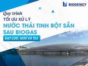 Quy trình tối ưu xử lý nước thải tinh bột sắn sau Biogas để đạt COD, Nitơ và TSS