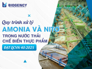 Quy trình xử lý Amonia và Nitơ trong nước thải chế biến thực phẩm đạt QCVN 40:2025