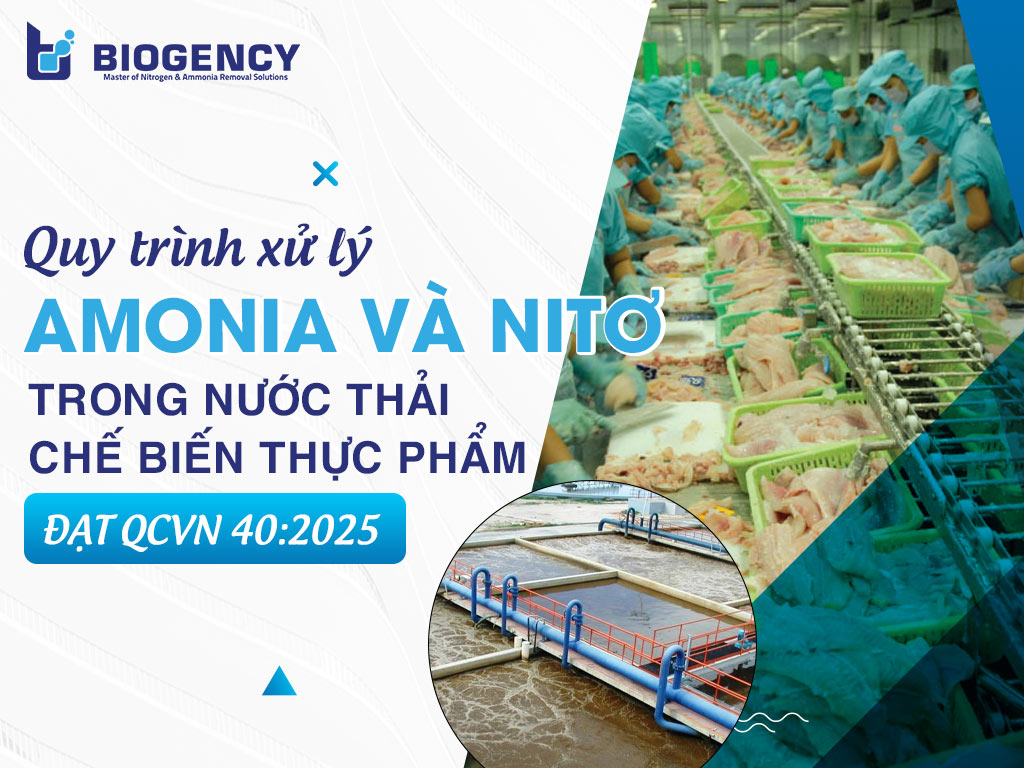 Quy trình xử lý Amonia và Nitơ trong nước thải chế biến thực phẩm đạt QCVN 40:2025