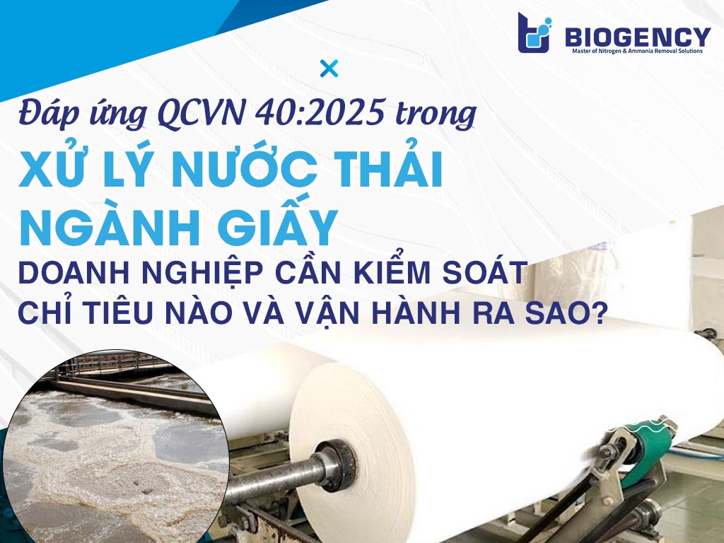 Đáp ứng QCVN 40:2025 trong xử lý nước thải ngành giấy: Doanh nghiệp cần kiểm soát chỉ tiêu nào và vận hành ra sao? Đáp ứng QCVN 40:2025 trong xử lý nước thải ngành giấy: Doanh nghiệp cần kiểm soát chỉ tiêu nào và vận hành ra sao?